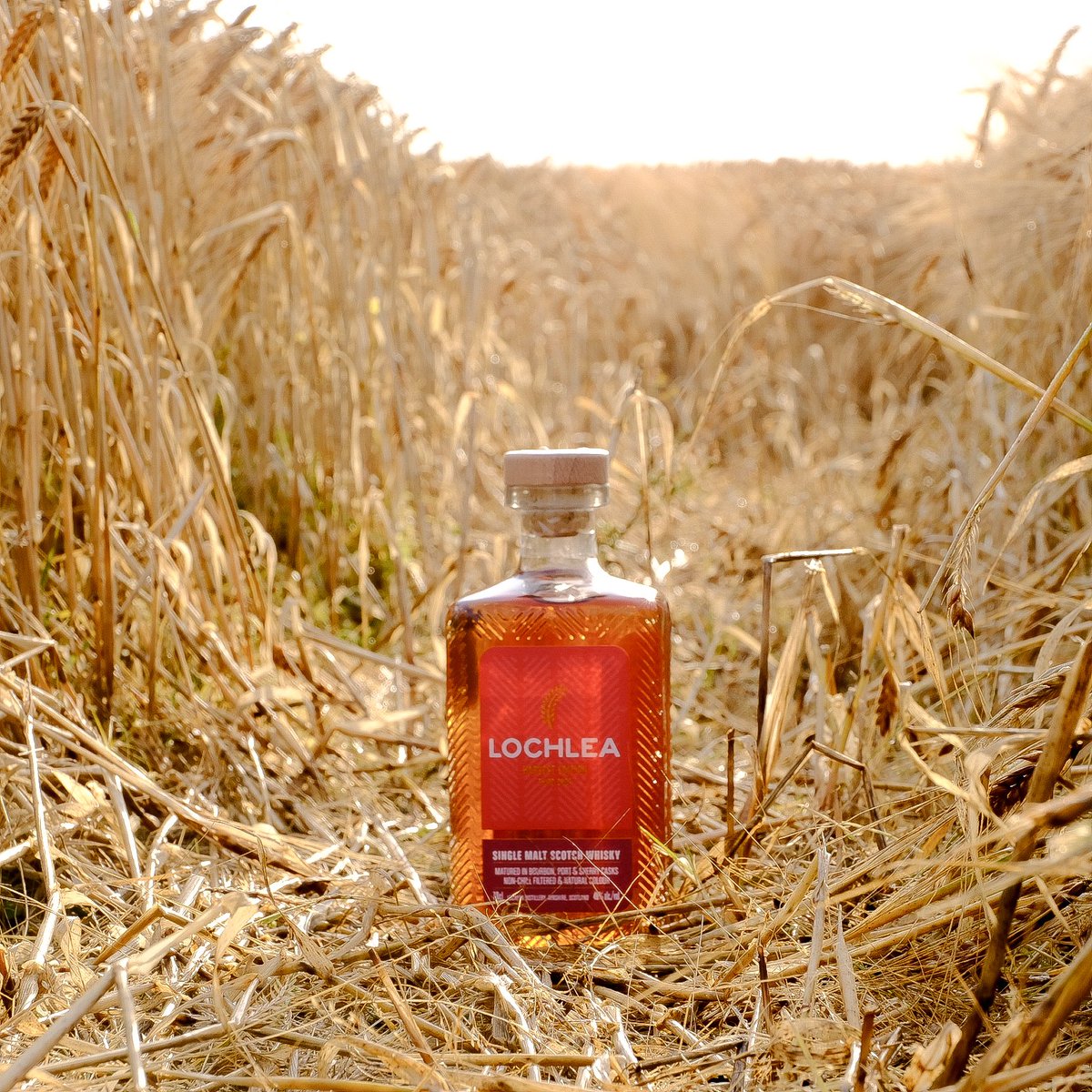 New release from Lochlea, Harvest edition Third crop.
Refill bourbon then re-racked into first fill Port casks with an oloroso butt added to the final mix giving a lovely depth of flavour.

8000 bottles globally.

Available to buy now

kinnairdheadwhiskies.com/product/lochle…
