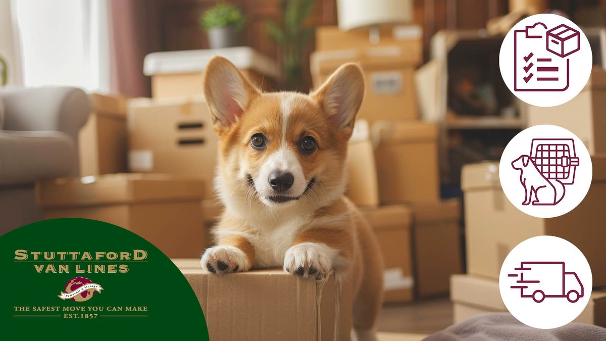 StuttafordVanLn's tweet image. 🐾 Moving with your furry friends? Make it pawsome for everyone! 🐶🐱 Choose Stuttaford Van Lines, your pet-friendly moving partner. 
stuttafordvanlines.co.za/services/trans…
#movingwithpets #SVL #movinghouse #petfriendlymoves
