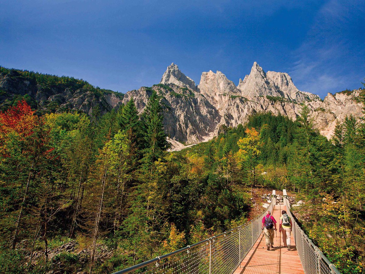 Interested in interdisciplinary research in and about mountains? Want to do a PhD with a practical impact? Join us for this PhD position in Berchtesgaden and contribute to advancing social-ecological science in a beautiful place: 
syncandshare.lrz.de/getlink/fiNLCQ…