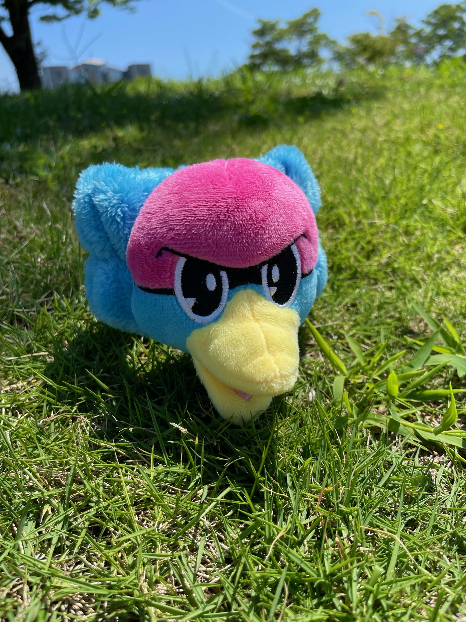 サガン鳥栖公式 on X: 