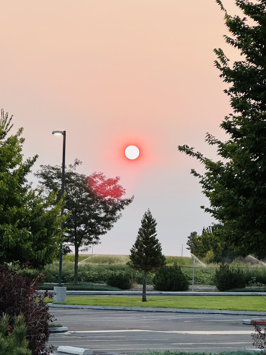 steph_crimson's tweet image. Good morning Thursday! Smokey air today with a pink sun. 

#pinksun #mornings #teacher
