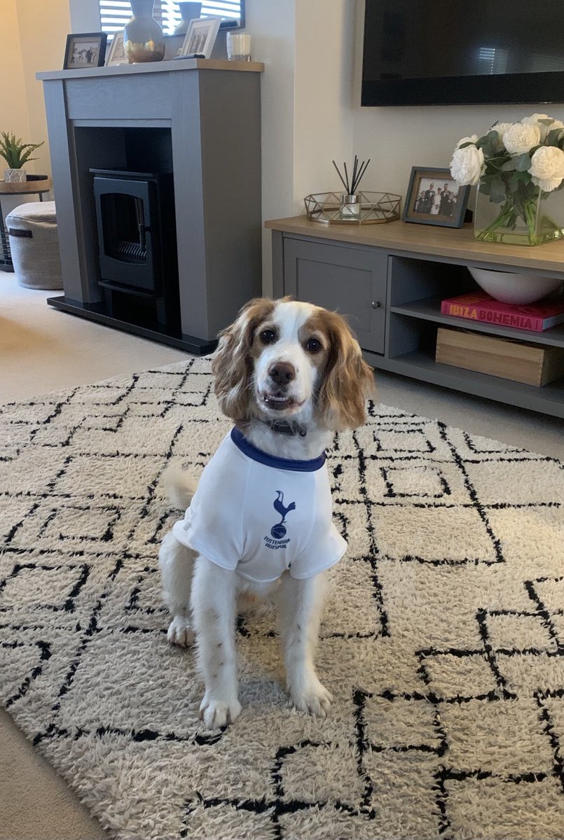 Karl Curtis (@k_curtis82) on Twitter photo Hugo is wondering if <a href="/SpursOfficial/">Tottenham Hotspur</a> have any late transfer window incomings this week? Hugo is wondering if <a href="/SpursOfficial/">Tottenham Hotspur</a> have any late transfer window incomings this week?