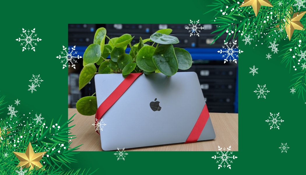 Mer-IT Digital tweet media