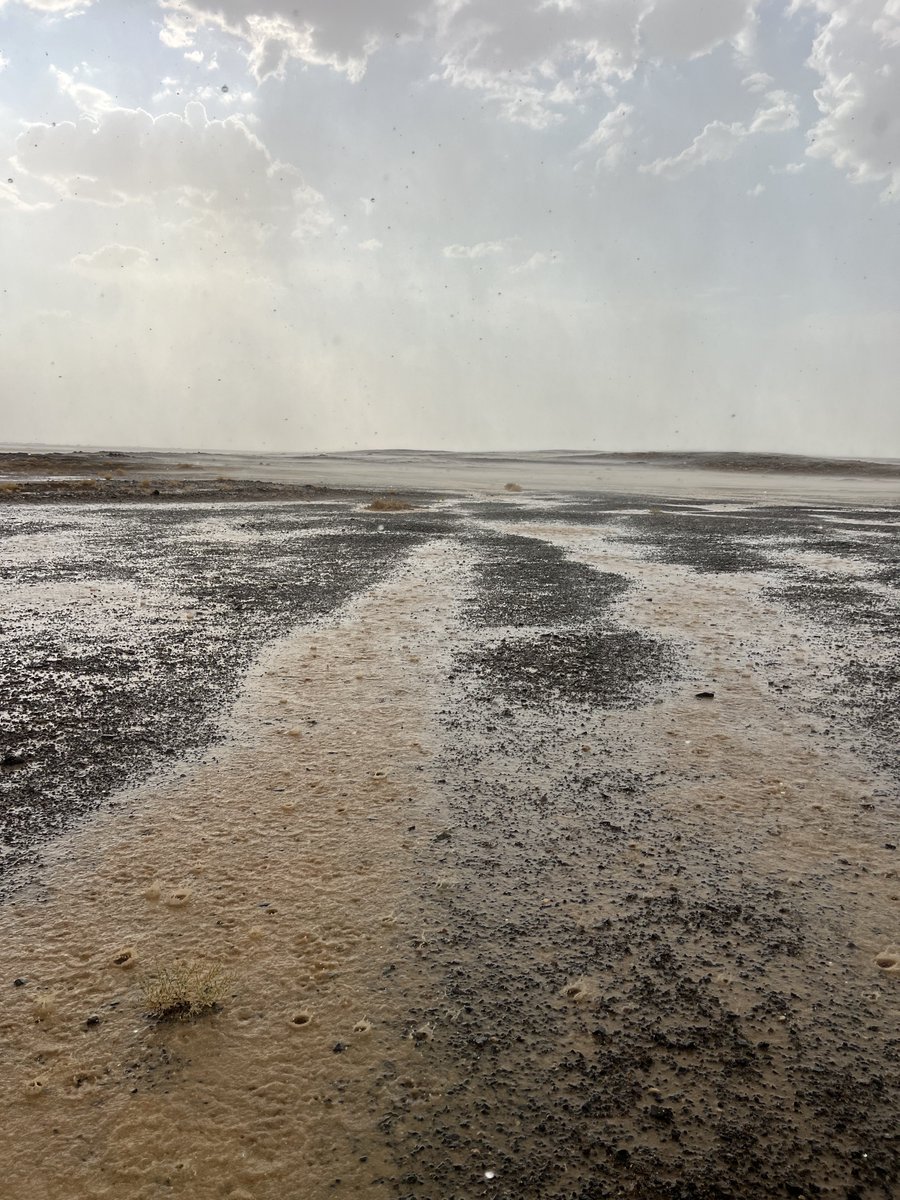 برق الجهمه tweet media