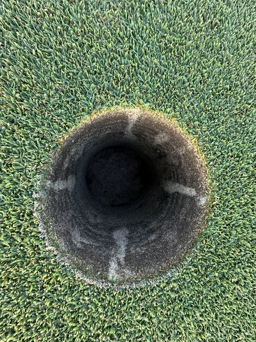 Shane Rice tweet media