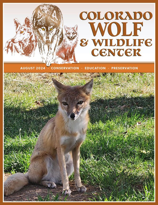 SamanthasLaw's tweet image. #CWWC 
wolfeducation.org