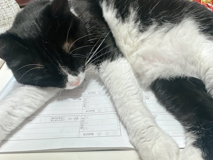 Twitterのコスプレ画像2