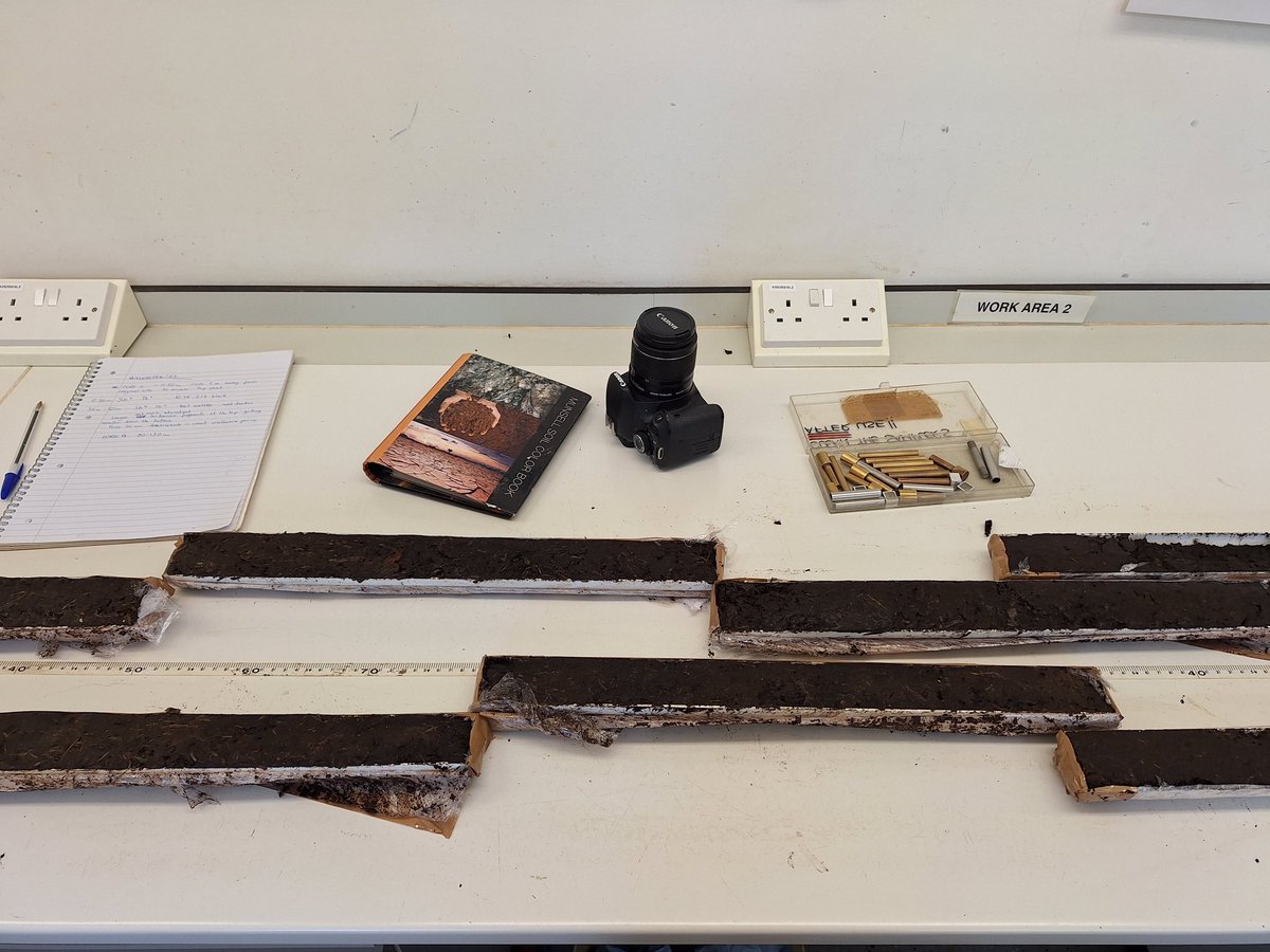 Dr Marta PerezFernandez tweet media