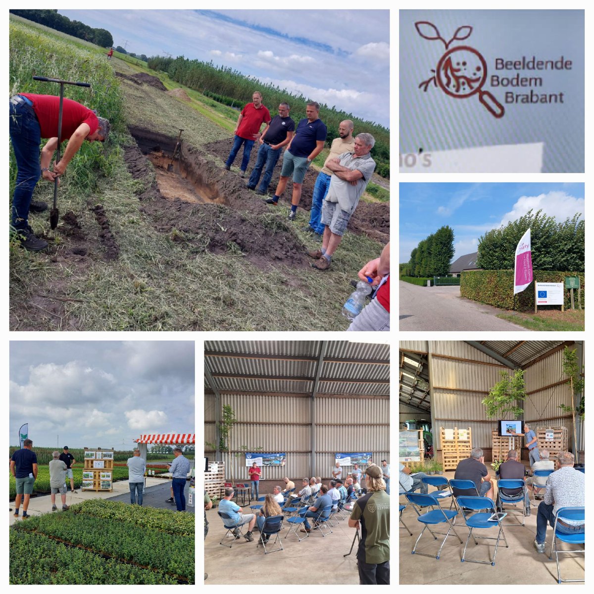 DelphyBoomteelt (@delphyboomteelt) on Twitter photo Vandaag Demodag Boomteelt 2024 bij kwekerij Hendrickx vanuit project Beeldende Bodem Brabant. M.m.v. @overSchoonWater <a href="/HaifaBoomkw/">Haifa Boomkwekerij</a> <a href="/dlf_nl/">DLF BV</a> <a href="/DenOudenGroep/">Den Ouden Groep</a> Kwekerij Hendrickx <a href="/DelphyNL/">DelphyNL</a> #Bodem #Brabant Vandaag Demodag Boomteelt 2024 bij kwekerij Hendrickx vanuit project Beeldende Bodem Brabant. M.m.v. @overSchoonWater <a href="/HaifaBoomkw/">Haifa Boomkwekerij</a> <a href="/dlf_nl/">DLF BV</a> <a href="/DenOudenGroep/">Den Ouden Groep</a> Kwekerij Hendrickx <a href="/DelphyNL/">DelphyNL</a> #Bodem #Brabant