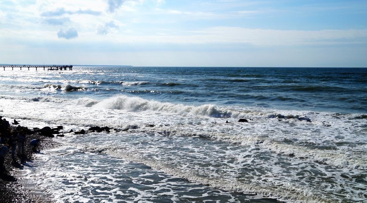 Happy Baltic Sea Day! 💦
Today, we celebrate our precious Baltic Sea with a variety of events and activities across the entire Baltic Sea region.

How are you celebrating the Baltic Sea Day, will you take a dip in the sea? 🌊🤿

 #balticseaday