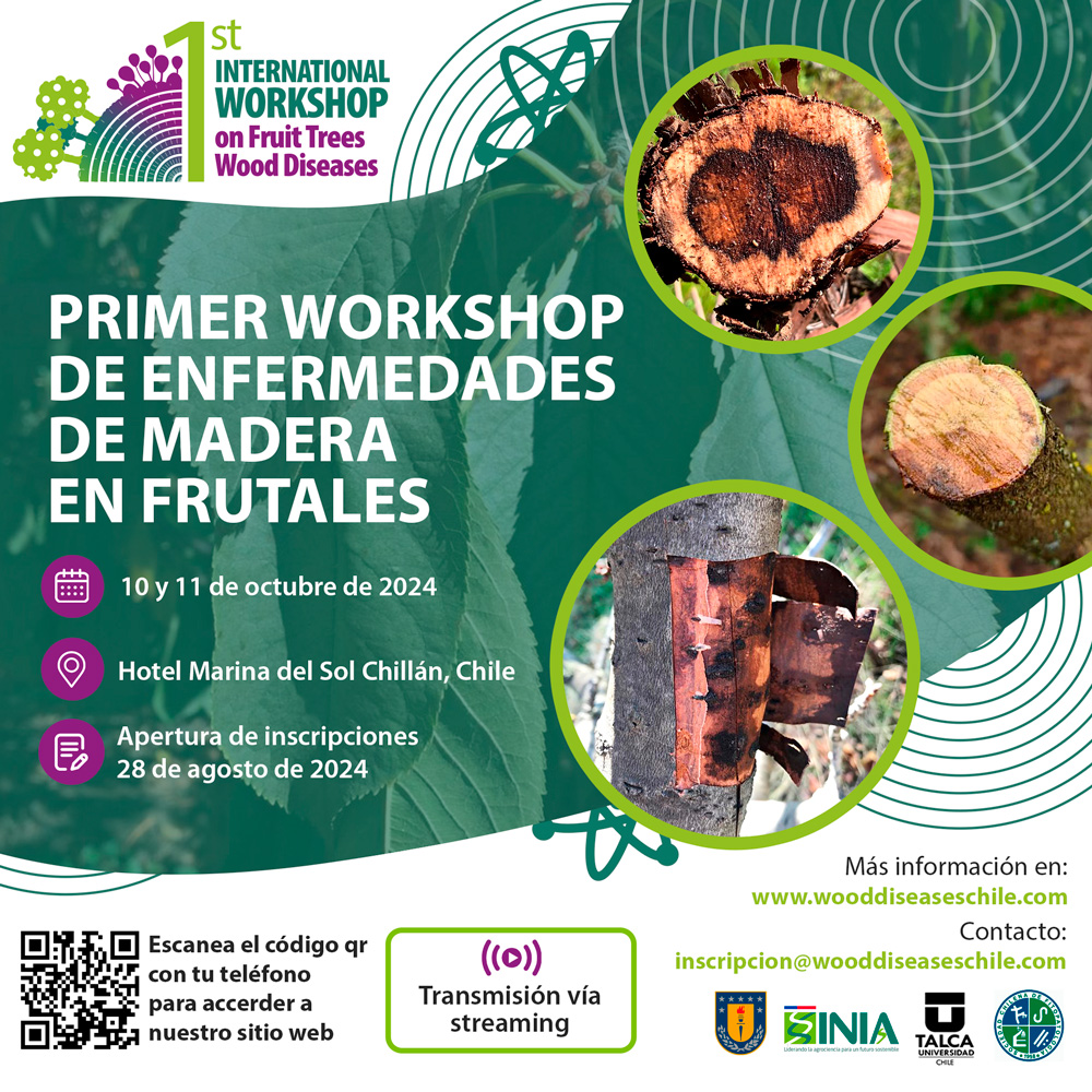 Hola a todos!! Ya se acerca el Primer Workshop Internacional en Hongos de Madera en Frutales!!! Las inscripciones están abiertas por transferencia bancaria y pronto por webpay!!🤩🌳🍒🍎 🌰 🍑 <a href="/iniachile/">INIA Chile</a> <a href="/udeconcepcion/">Universidad de Concepción</a> <a href="/UTalca/">Universidad de Talca</a> wooddiseaseschile.com/home