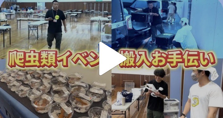 NukegaraReptile's tweet image. ご紹介いただきありがとうございます！！🙇‍♂️
youtu.be/D6fZ78JO1no?si…