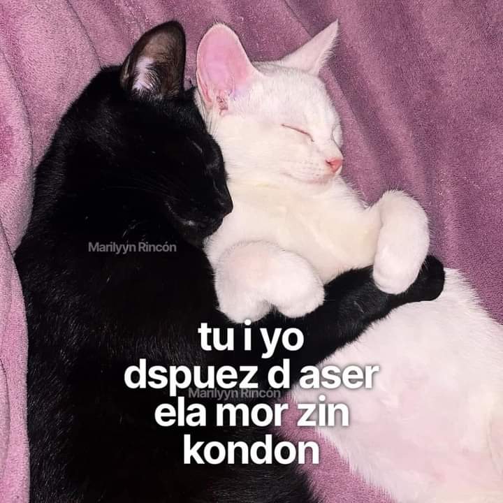 <a href="/Daki_dom/">꧁Navia꧂</a>  con esto hago acto de presencia amorcito uwu