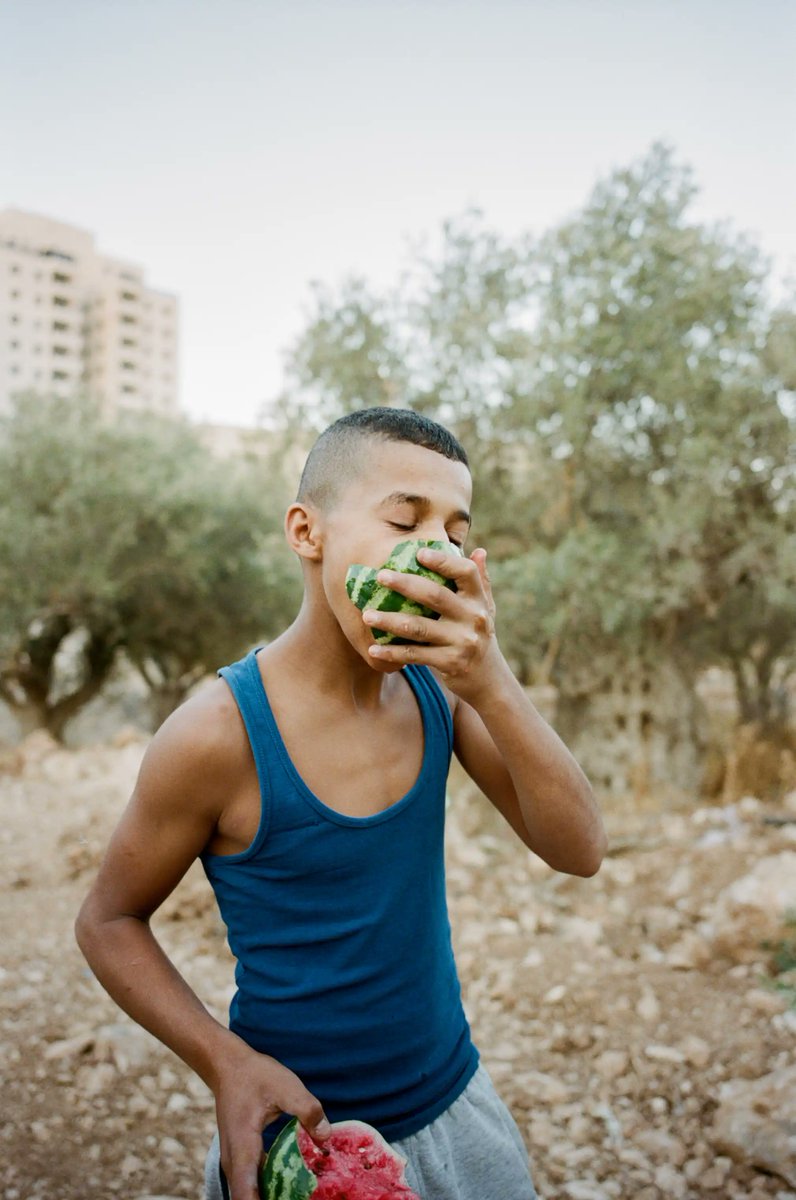 The Festival di Fotografia di Savignano sul Rubicone (yes, that Rubicon!) has a splendid programme featuring, i.a., Adam Rouhana's Before Freedom, a series that aims to reclaim representations of Palestine from western perspectives sifest.it/it/mostre/96/A…
