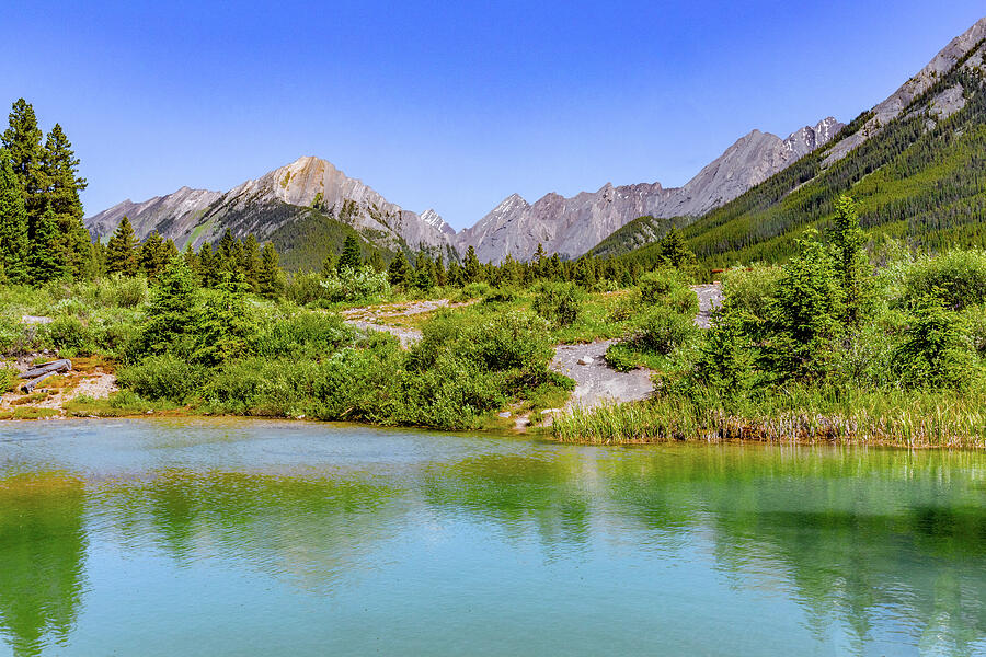 the_gallaghers1's tweet photo. Above The Ink Pots https://t.co/t0wDGUzVRY
#AboveTheInkPots #BillGallagherPhotography #BuyIntoArt #AYearForArt #Canada #Rockies #RockyMountains #CanadianRockies #RockyMountains #InkPots #Nature #Wilderness #BillGallagher https://t.co/Av5UwPoKrA