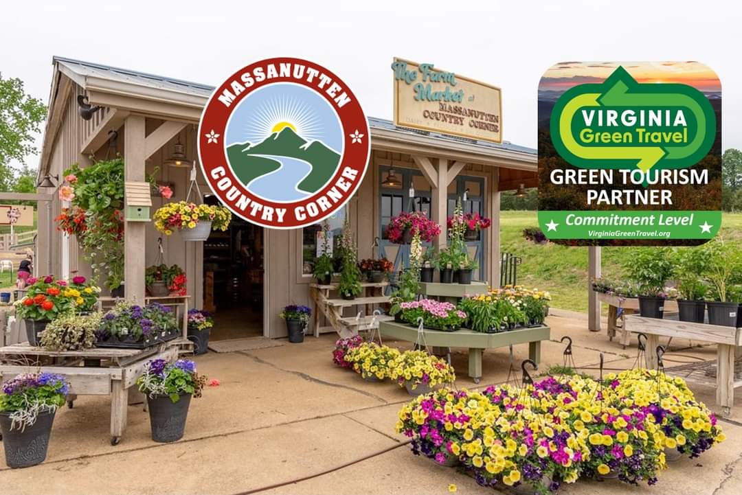 massanuttencc24's tweet photo. We are proud to announce that we are now a certified Virginia Green Travel Partner! 

Virginia Green Travel Alliance supports sustainable tourism. 

#virginiagreentravelalliance #virginiagreentravel #reducereuserecycle #conserve #keepvirginiagreen #recycle #repurpose https://t.co/EOd2wDIjDy