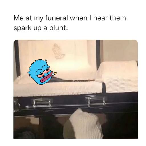Me at my funeral, peeking from the casket when I hear them light up a blunt.🌿💨 

Just watching those who sold the $STONIE dip missing out from the afterlife. 😂🚀