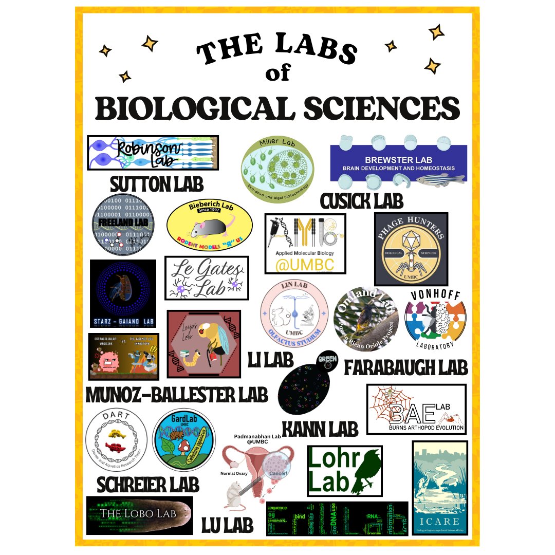 🌿Biological Sciences Open House!
Come and see us from 11am-1pm in the Biology building, first floor, in front of the mural!🌿
#UMBC #UMBCbiology #biology #science #bioscience #retrievernation #genetics #physiology #cellmigration #biomedical #CNMS #STEM #WomenInSTEM #biochemistry