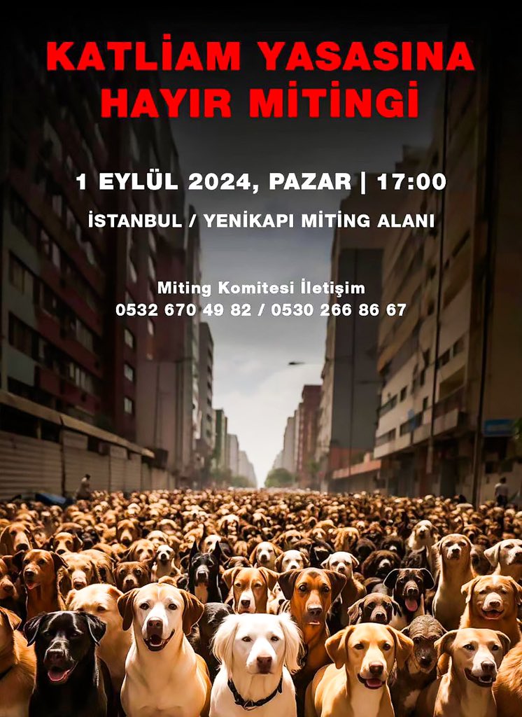 Katliam Yasası’na Karşı Buluşuyoruz!

Hayvan Hakları Yasası’nda yapılan değişiklikle birlikte sokak hayvanlarının katledilmesinin önü açıldı. Ardından birçok belediyenin katliamlarına şahit olduk. 

Tüm yetkililerden, sorunlara öldürerek değil yaşatarak çözüm bulmasını talep