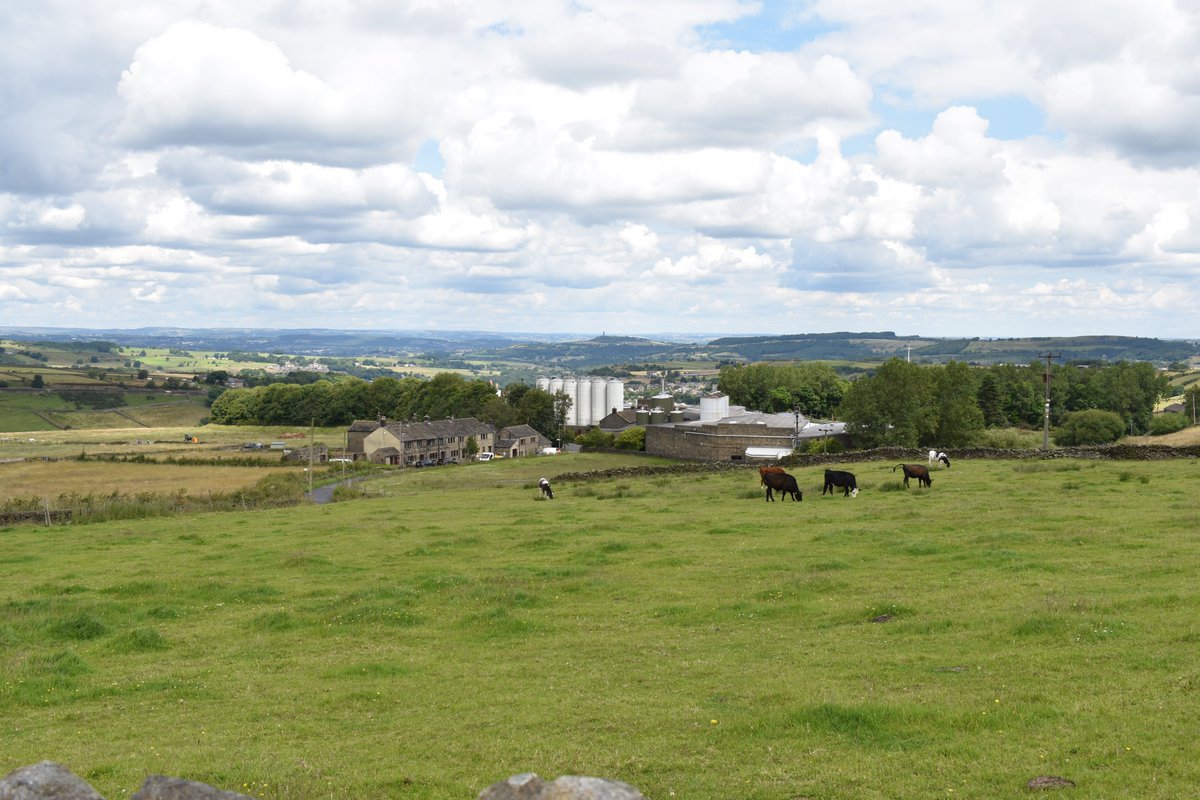 Longley Farm tweet media