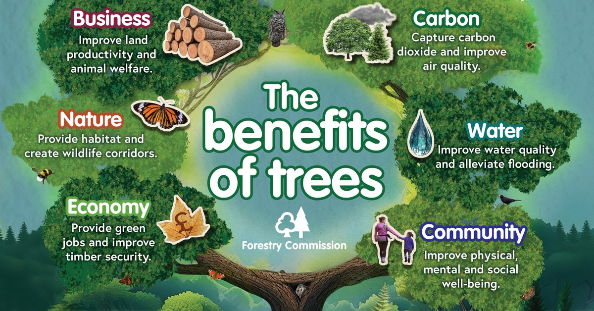 Planting trees brings so many benefits, for nature and the environment, businesses, communities and more.

Discover the benefits, as well as the funding and support available to create woodland in England, on our new guidance page: gov.uk/guidance/the-b…

#CaseForTrees