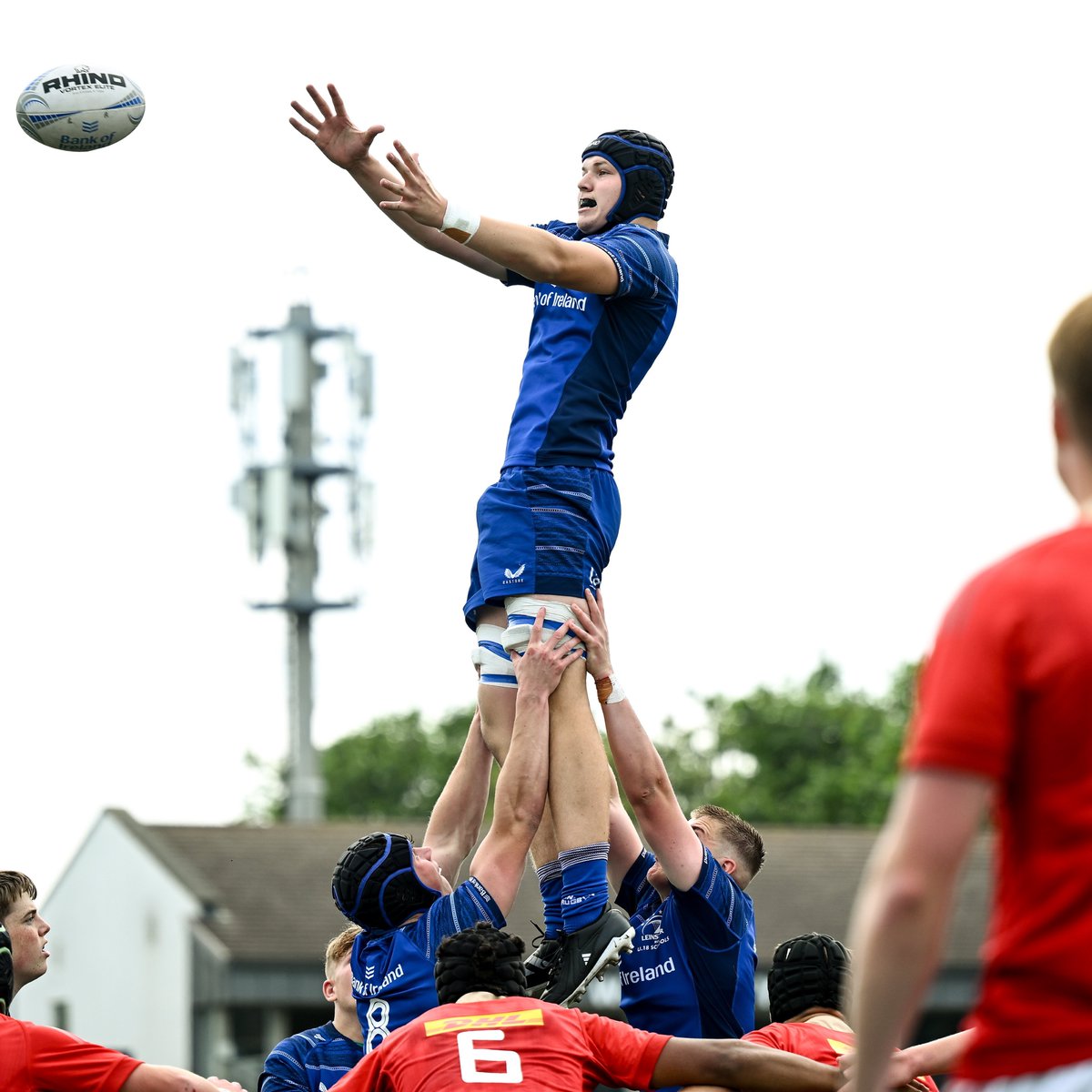 Leinster Domestic tweet media