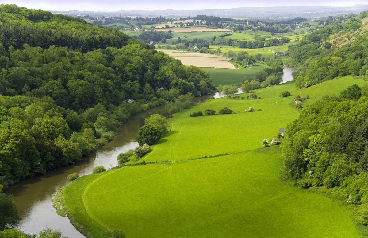 In her latest blog, Sarah Moore discusses water pollution in Yorkshire rivers and how it impacts the public's health leighdaylaw.info/4dxXRVT