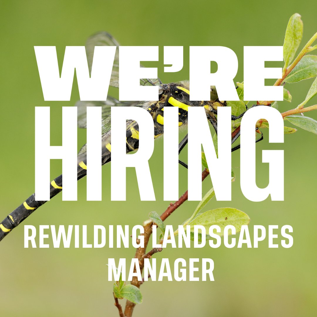 Rewilding Britain tweet media