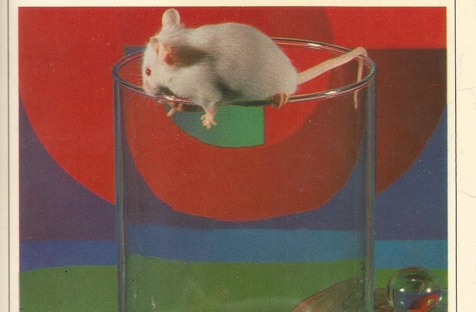 Tarukirja | Luis Martín-Santos: Tiempo de silencio tarukirja.blogspot.com/2024/08/luis-m…