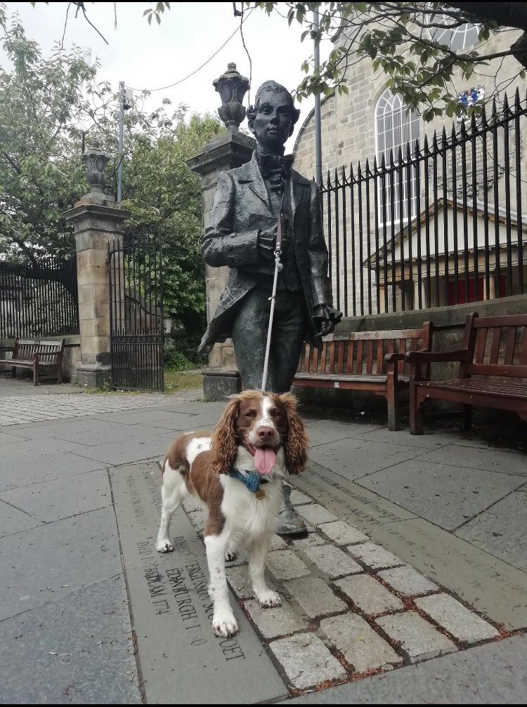 Edinburgh Adult Education Programme tweet media