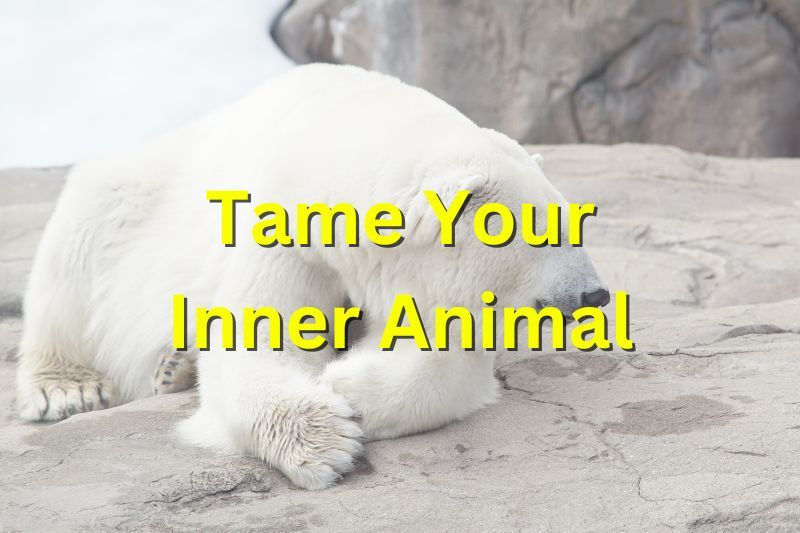 Thom Byxbe tweet media