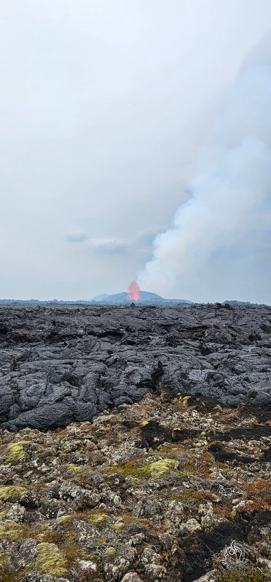 ✨Preliminary petrographic and geochemical characterization of the August eruption at Sundhnúksgígar avaiable at this link 🌋:
earthice.hi.is/eruption-sundh…