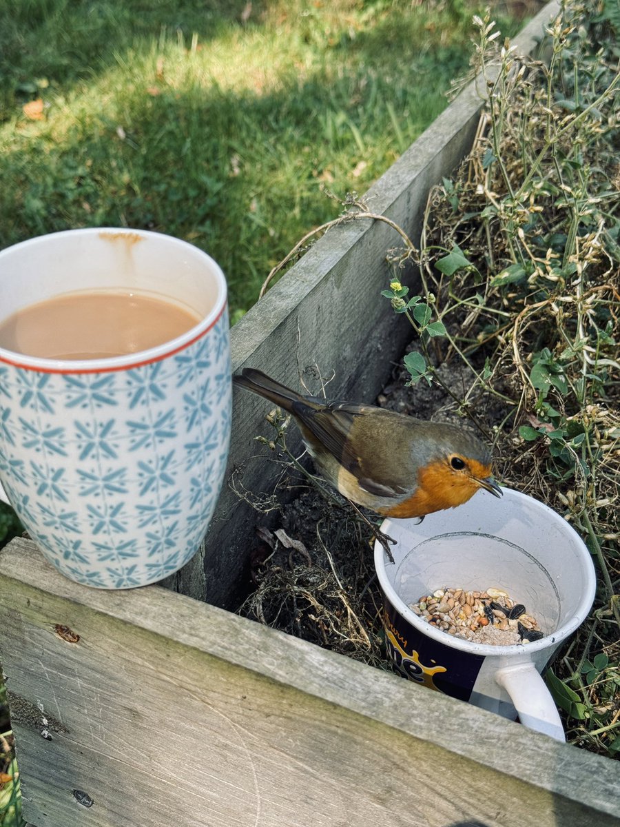 Robyn says it’s time for a break 😀