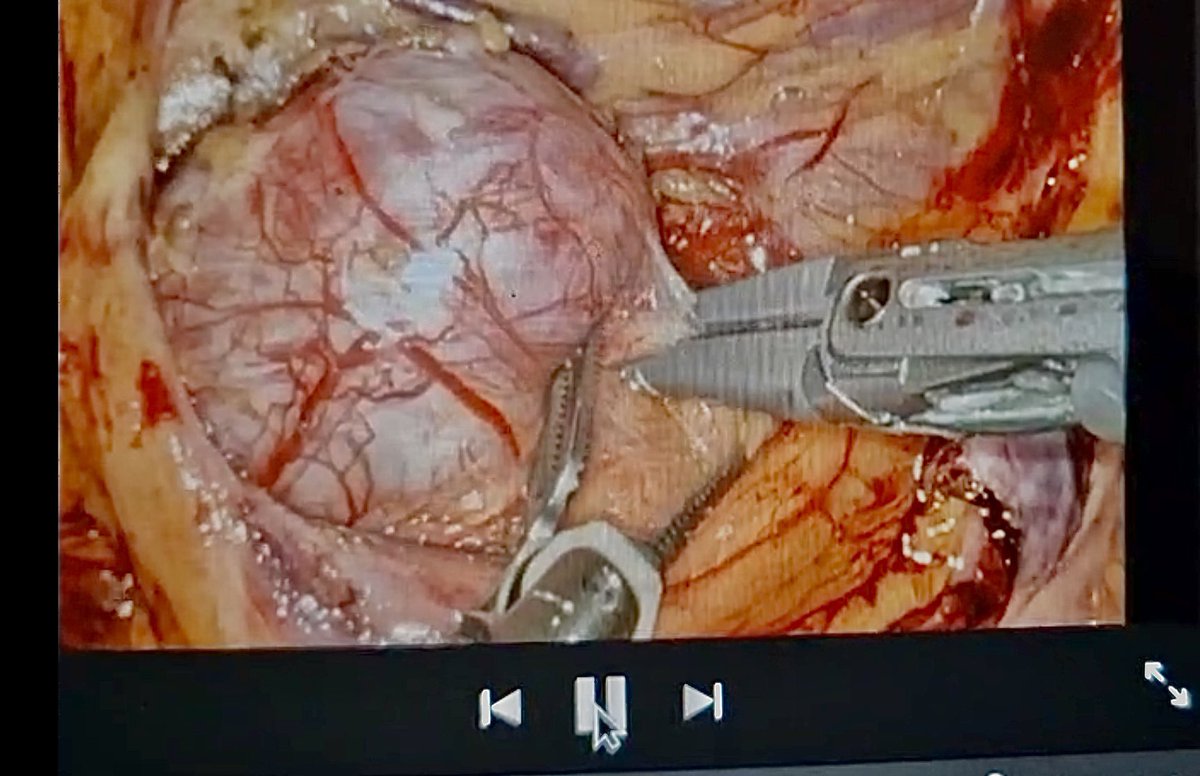 John Hayes tweet media