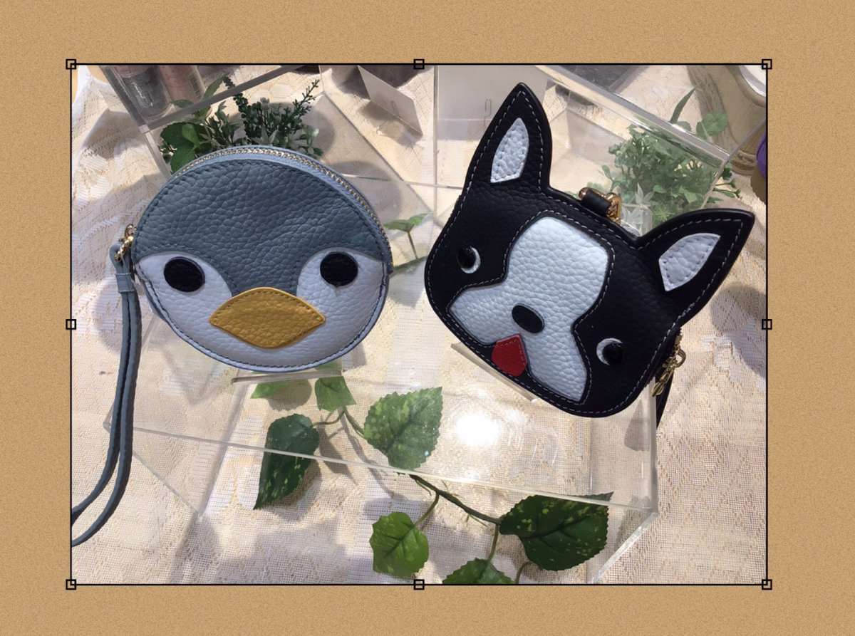 studiojkasukabe's tweet image. 𑁍𓏸𓈒エスタシオン新入荷𑁍𓏸𓈒
個性的なシューズが入荷！
合わせて可愛い動物コインケースも！

#studioj #イオンモール春日部 #エスタシオン #靴 #shoes #猫 #ペンギン #犬