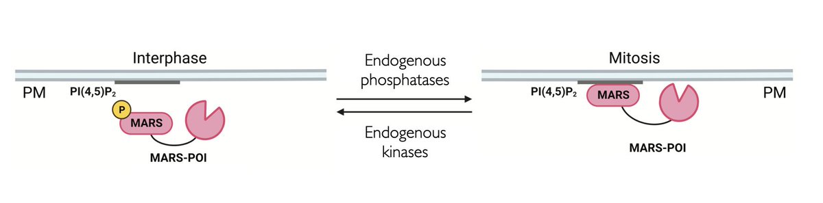 Jeremy Baskin tweet media