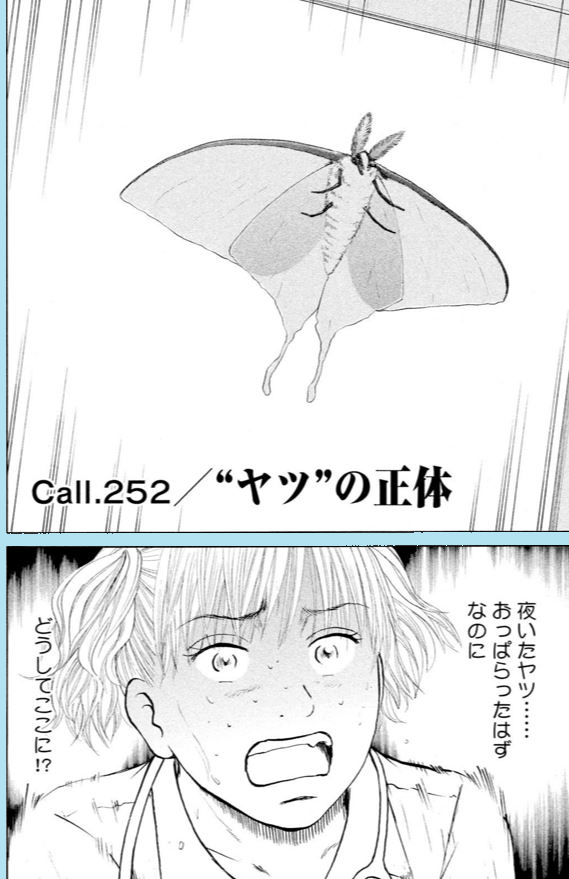 【病院で蛾を見ると、24時間以内に患者さんがなくなる⁈・・・やば!見ちゃった、看護師のお話】0/15 