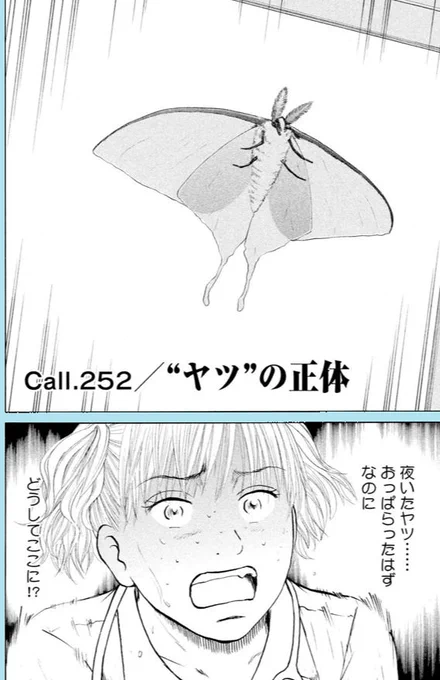 【病院で蛾を見ると、24時間以内に患者さんがなくなる⁈・・・やば!見ちゃった、看護師のお話】0/15 