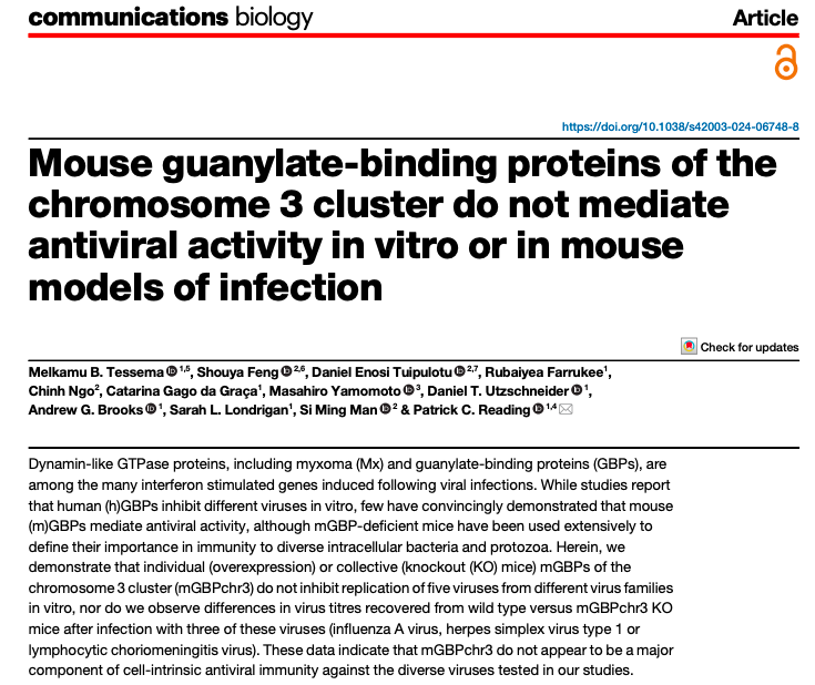 Pleased to share our paper
nature.com/articles/s4200…
mGBPs mediate defense against intracellular bacteria, but don't appear to be major component of antiviral immunity. The related GTPase mMx proteins on the other hand, are potent mediator of intracellular defense against viruses.