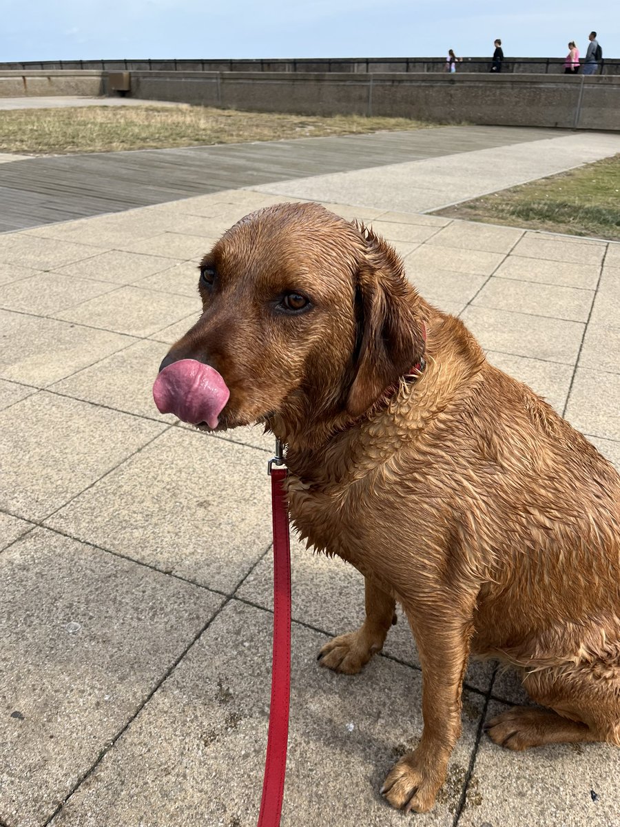 Firstlanepark's tweet photo. @Vinnies_Hull George is having a day at the seaside before school starts he’s enjoyed swimming x https://t.co/QAS5Dc3yp5
