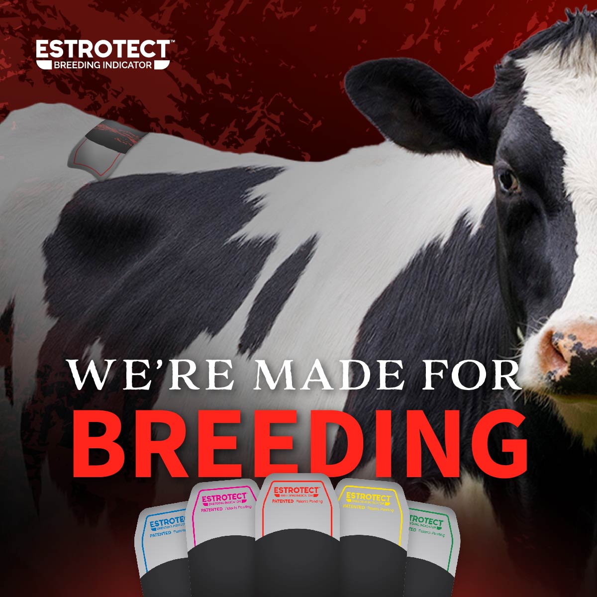 AgHold (@aghold1) on Twitter photo 