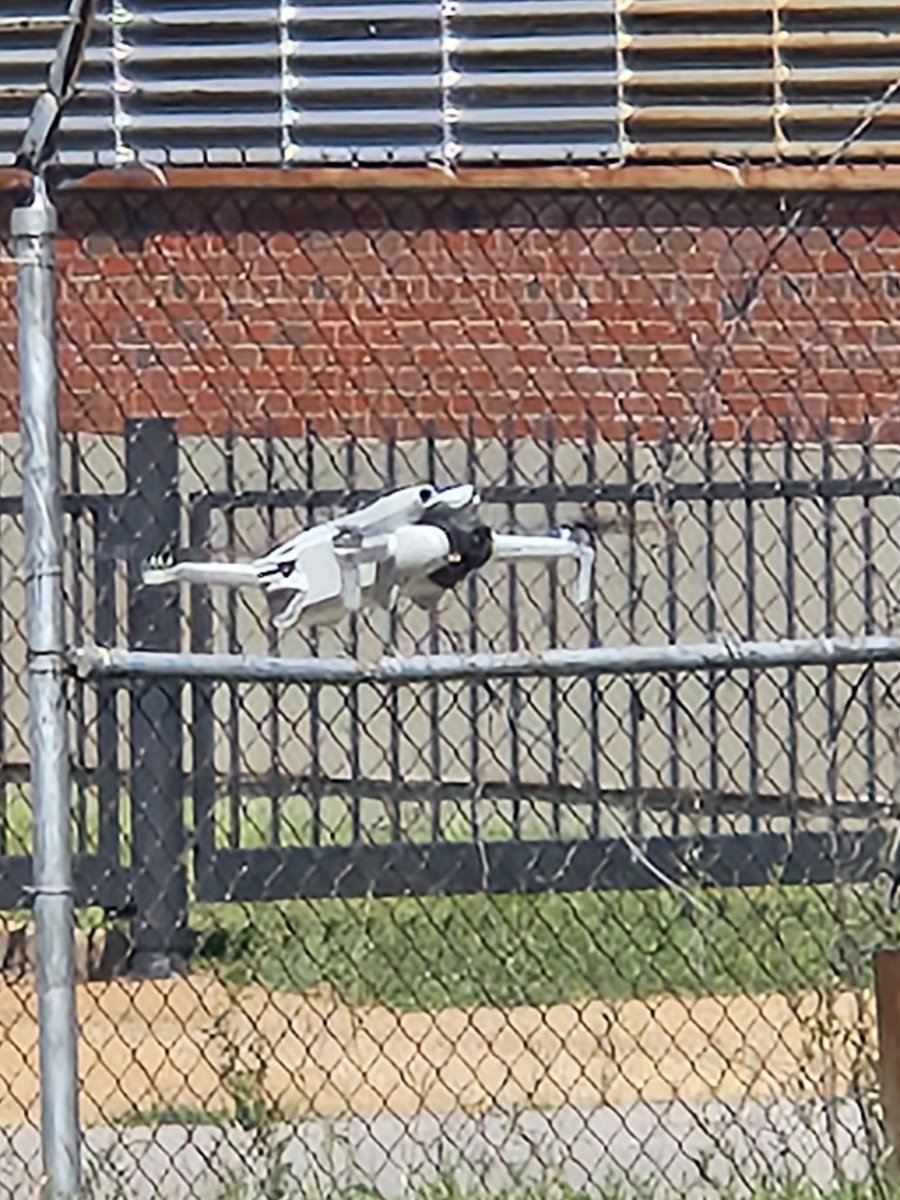 Central Realty, LLC tweet media