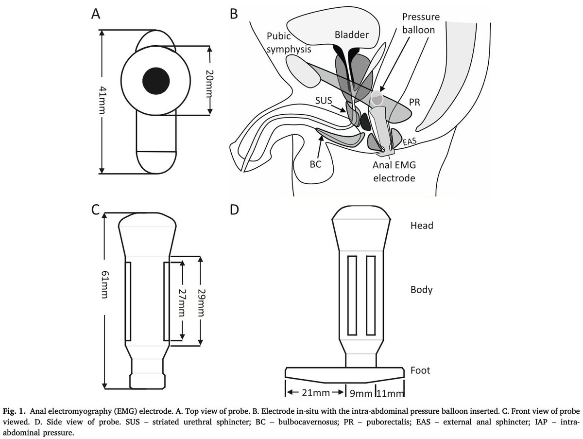 風地＠毎日音楽の話を(も)しています tweet media