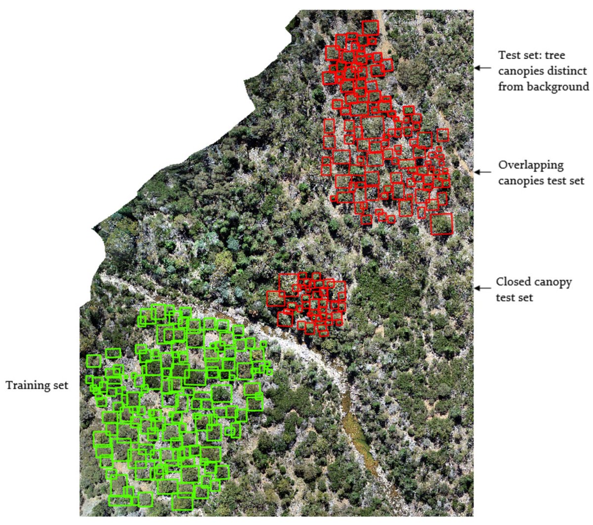 🌳Tree Detection and Species Classification in a Mixed Species #Forest Using Unoccupied Aircraft System (#UAS) #RGB and Multispectral Imagery
✍️by Poornima Sivanandam and Arko Lucieer
🔗Full paper: brnw.ch/21wMazO