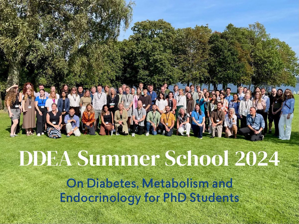 What an Amazing Week at the DDEA Summer School! 🌞

What was your favourite part? 💡

A huge thank you to our participants, speakers, workshop leaders and organisers for making this Summer School such a great experience – and to the sun for shining all week.

See you next year!🚀