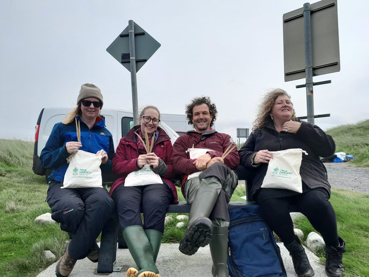 True Harvest Seeds tweet media