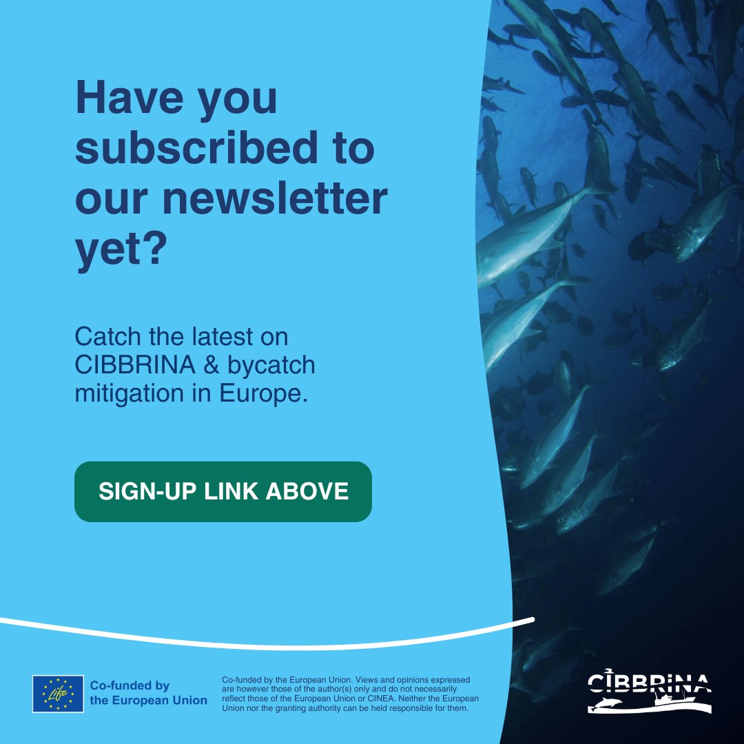 Have you subscribed to our newsletter yet? Stay updated on CIBBRiNA news &amp; research, learn about the people behind the project &amp; follow the latest developments in #bycatch mitigation across #Europe. Read the last issue &amp; sign up here ➡️ loom.ly/QNwEvyA