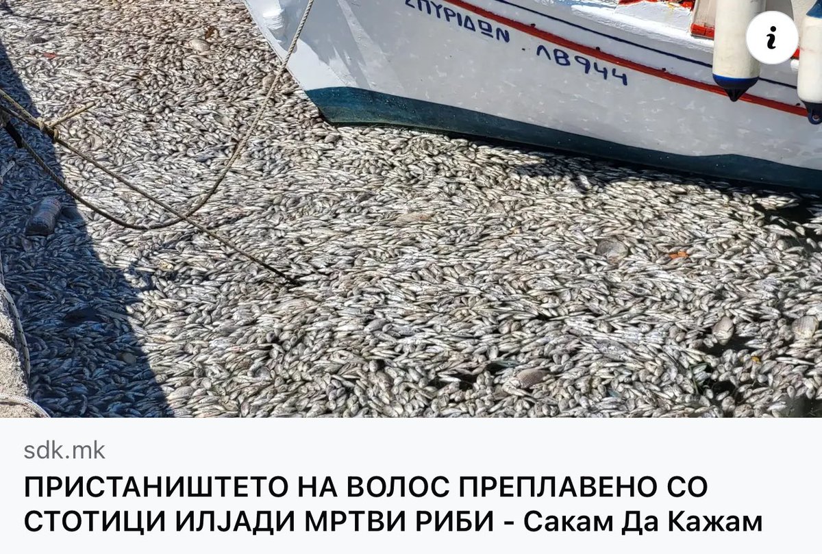 Овие риби ќе ги јадеш у “елитен” ресторан кај нас…