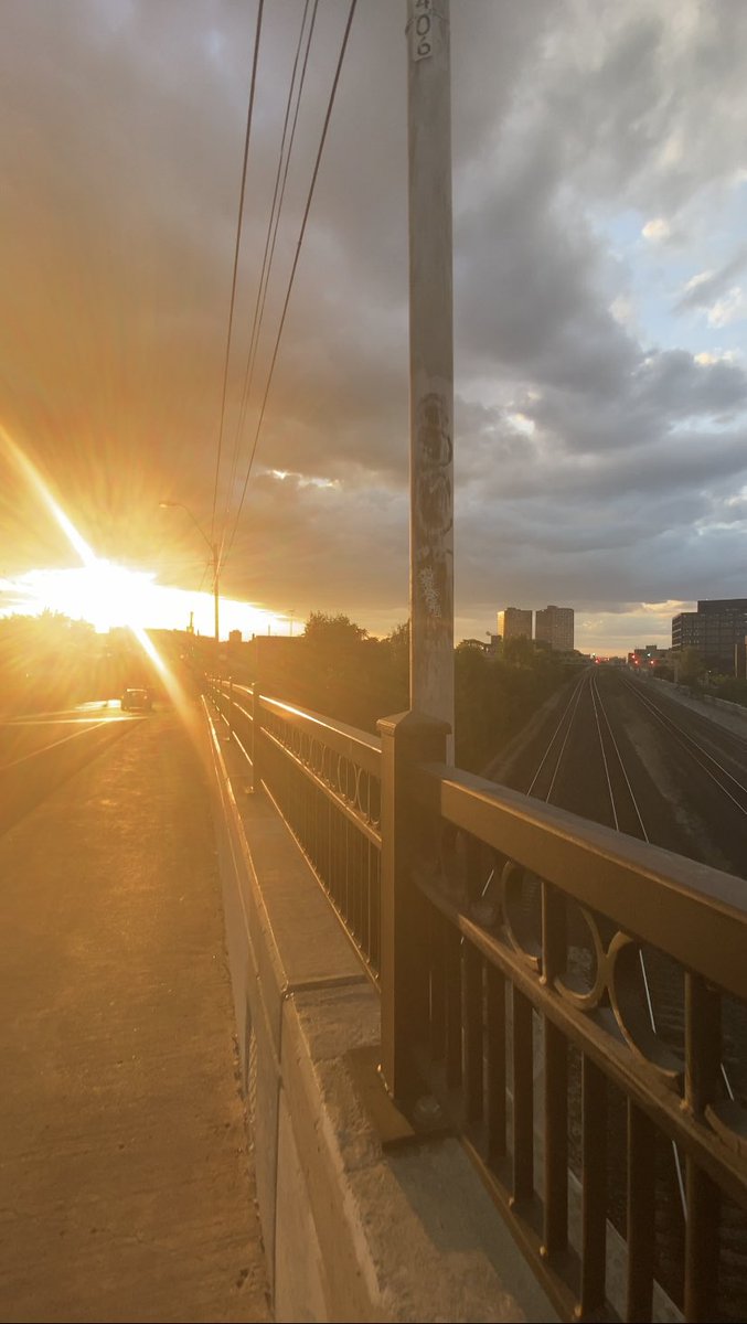 howlmeta's tweet image. All Around #shortwalks #sunset #traintrack #shadows
youtube.com/shorts/L2IorZj…
