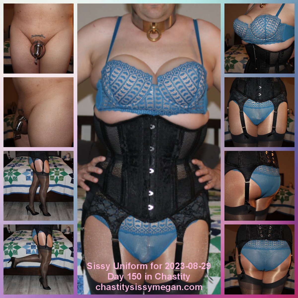 Sissy Megan tweet media